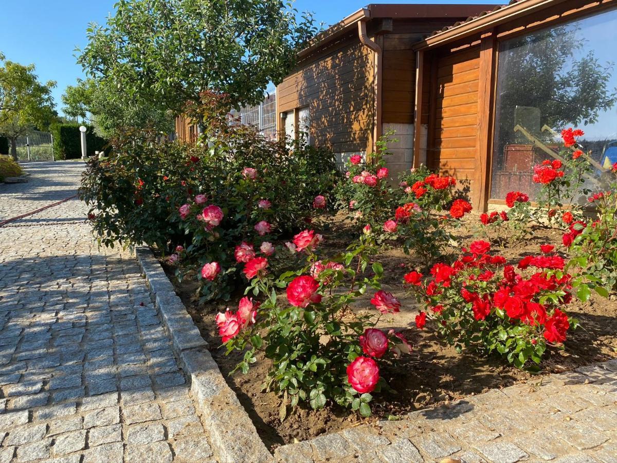 Gites Des Sablons Chatillon-sur-Marne Luaran gambar