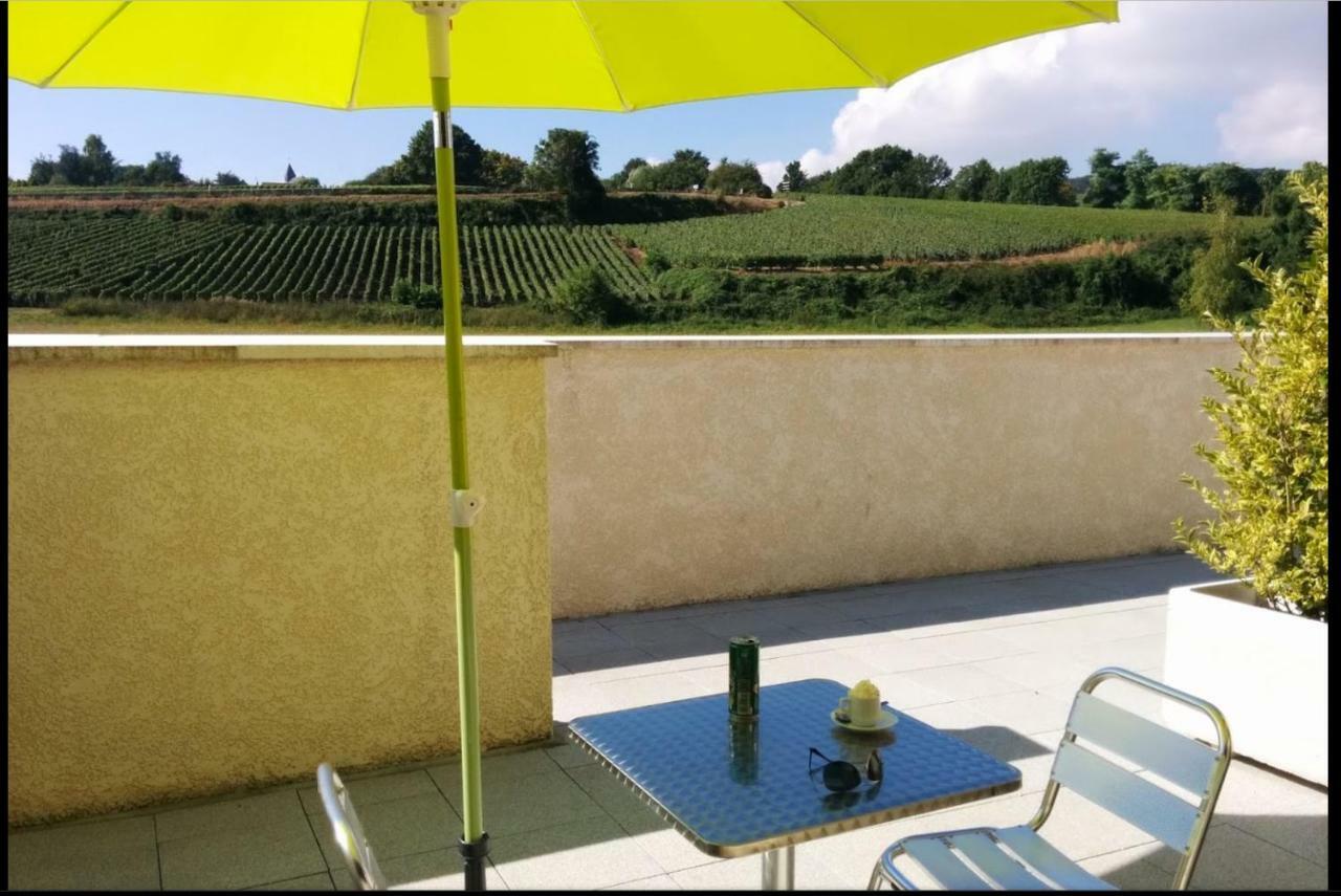 Gites Des Sablons Chatillon-sur-Marne Luaran gambar